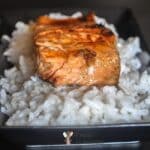 somon teriyaki