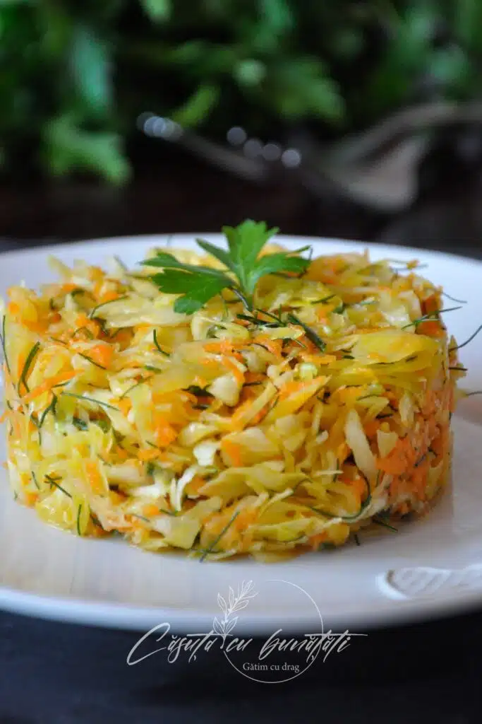 Salata de varza cu morcov si marar, simplă, sănătoasă, delicioasă VIDEO 1 salata de varza cu morcov si marar