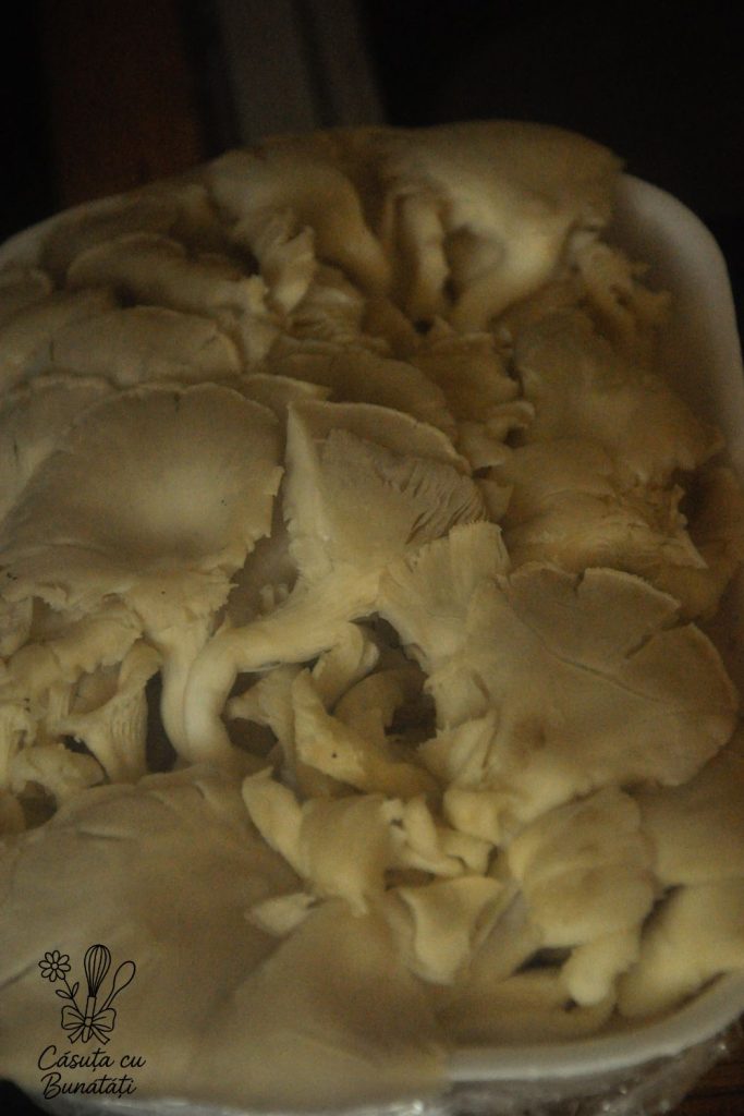 Snitel de ciuperci pleurotus 2 ciuperci pleurotus